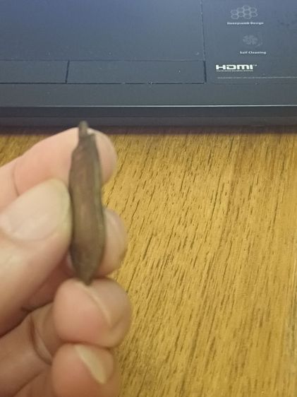 หลวงพ่อกลั่น  รูปที่ 6