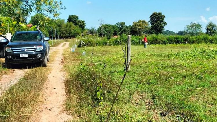 หัวดอย-ท่าสาย อ.เมืองเชียงราย 2งาน31ตรว.