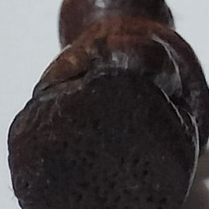 ลิงไม้แกะ รูปที่ 5