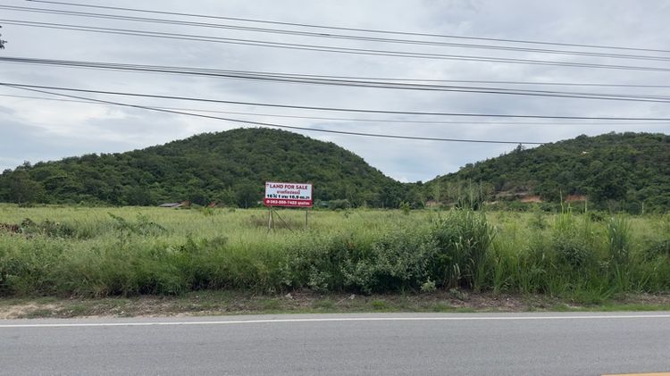 ขายที่ดินแปลงใหญ่ ทำเลดี  วิวภูเขา เนื้อที่ 16-1-16.9 ไร่ ใกล้โรงเรียนนานาชาติ