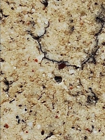 พระสมเด็จวัดระฆัง พิมพ์ใหญ่ เนื้อเก่า สวย รูปที่ 18