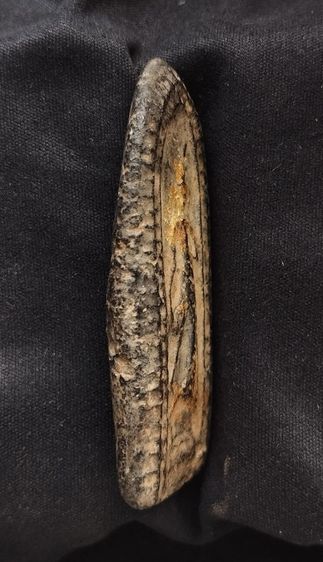 พระหลวงปู่บุญ วัดกลางบางแก้ว รูปที่ 4