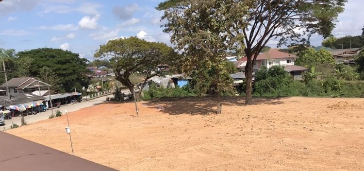 ไม่ใช่ Vายที่ดิน10ไร่ ถมดินปรับและทำพนังเขื่อนกั้นน้ำดินแล้วทำจัดสรร  BIGC1      