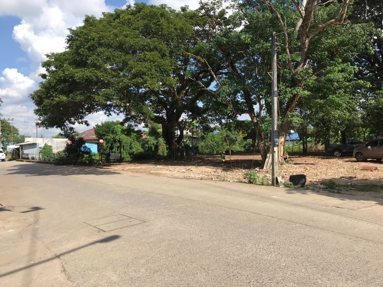 ไม่ใช่ Vายที่ดิน10ไร่ ถมดินปรับและทำพนังเขื่อนกั้นน้ำดินแล้วทำจัดสรร  BIGC1       รูปที่ 2