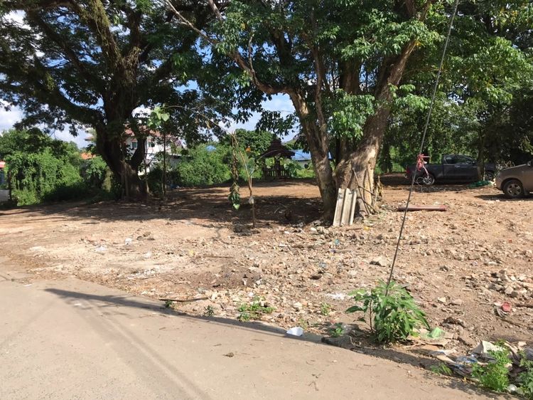 ไม่ใช่ Vายที่ดิน10ไร่ ถมดินปรับและทำพนังเขื่อนกั้นน้ำดินแล้วทำจัดสรร  BIGC1       รูปที่ 4