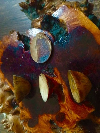 เก่าแท้ธรรมชาติ รูปที่ 15