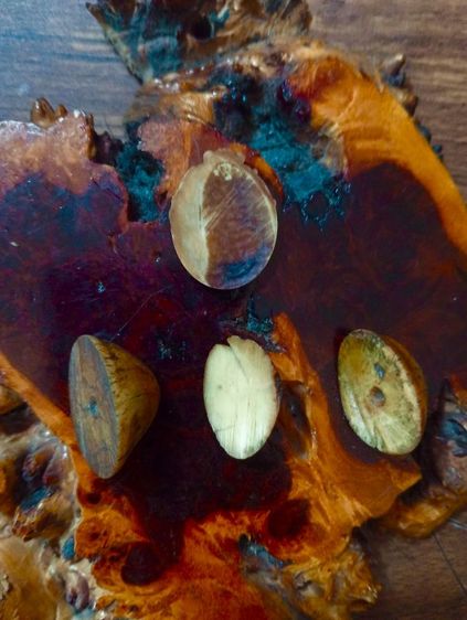 เก่าแท้ธรรมชาติ รูปที่ 13