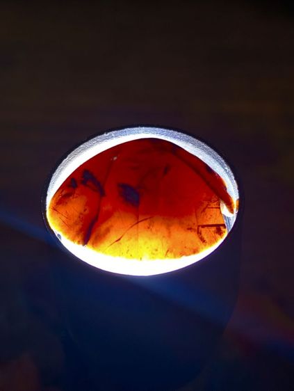 เก่าแท้ธรรมชาติ รูปที่ 8