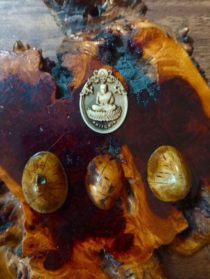 เก่าแท้ธรรมชาติ รูปที่ 6