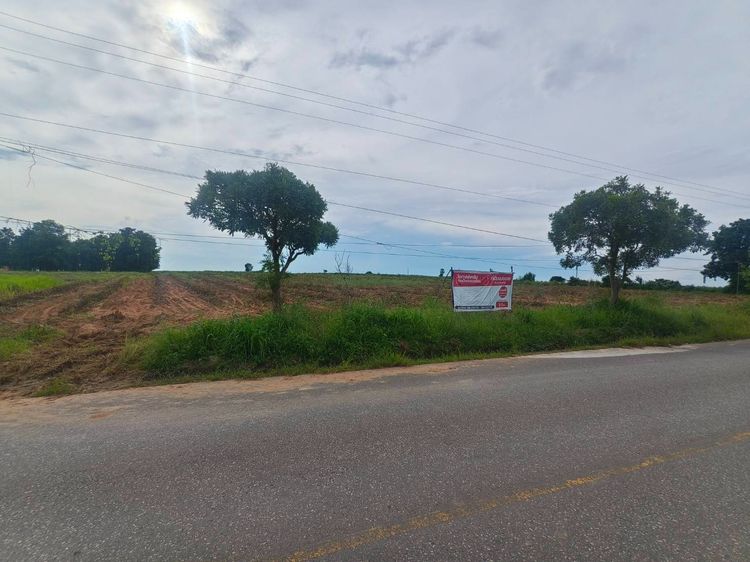 ไม่ใช่ ที่ดินติดถนนลาดยาง รูปที่ 4