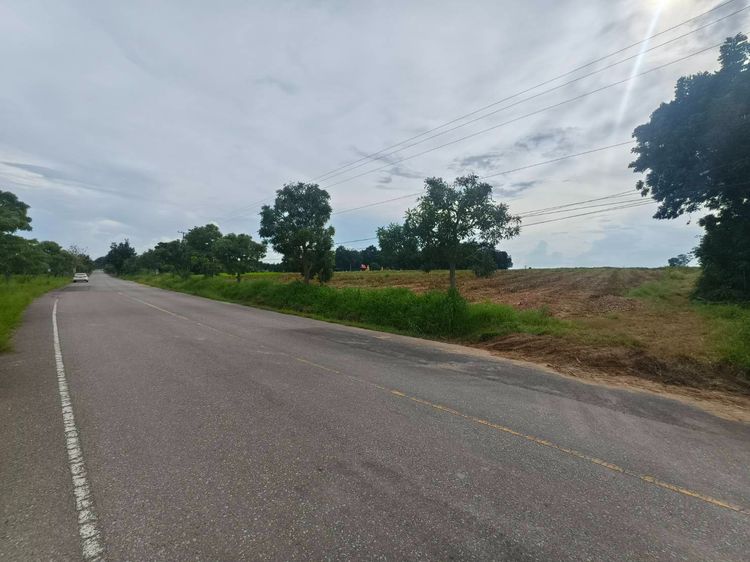 ที่ดินติดถนนลาดยาง