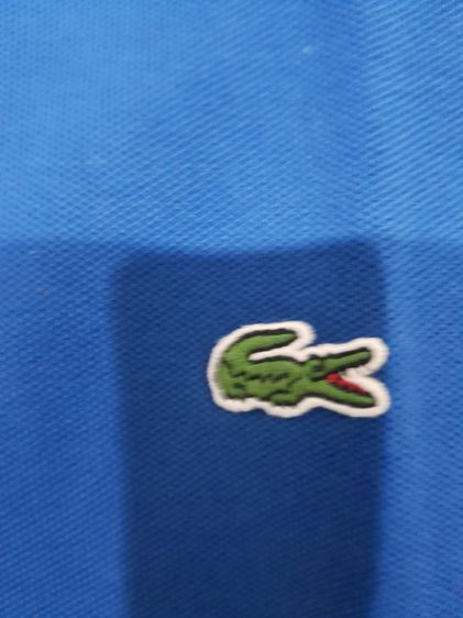 เสื้อโปโล Lacoste ของแท้ สภาพใช้น้อย รูปที่ 10