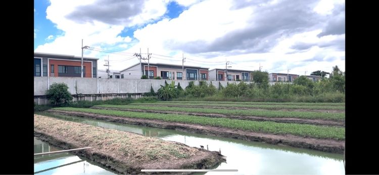 ขายที่ดิน2ไร่ปทุมธานี