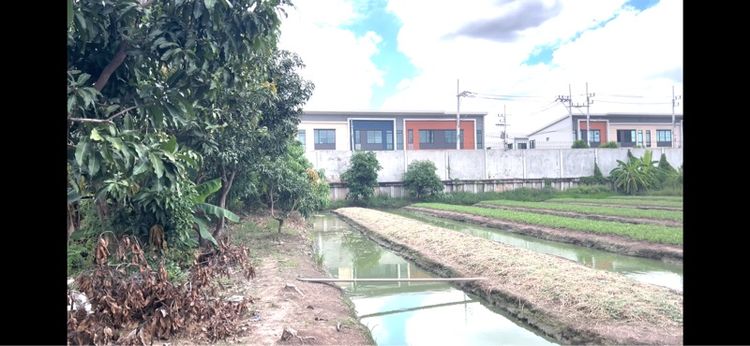 ขายที่ดิน2ไร่ปทุมธานี รูปที่ 3