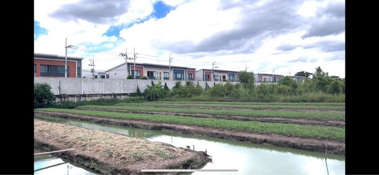 ขายที่ดิน2ไร่ปทุมธานี รูปที่ 4