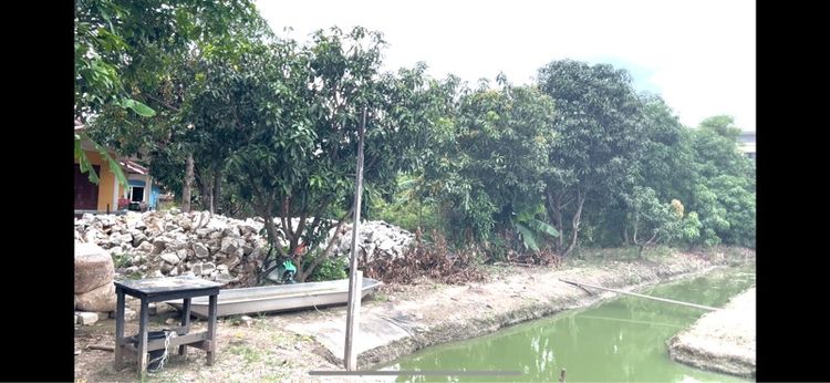 ขายที่ดิน2ไร่ปทุมธานี รูปที่ 2