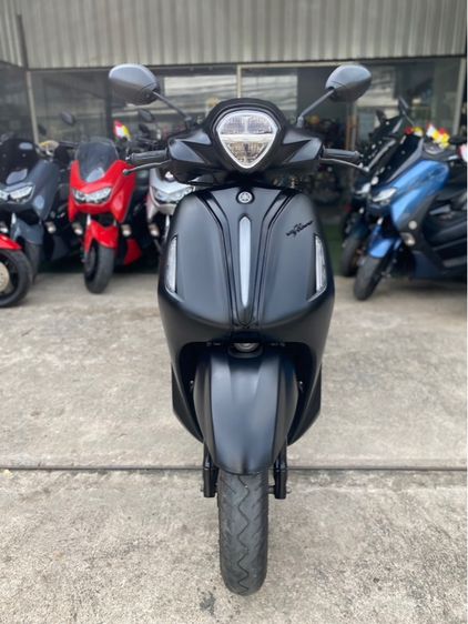 grand filanoปี23  รูปที่ 2