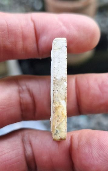 สมเด็จพระศาสดา รูปที่ 3