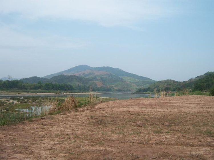 ไม่ใช่ vายที่ดินติดหลังแม่น้ำโขงกว้าง 330 เมตร ด้านหน้าติดถนนหลวง สาย4007  รูปที่ 2