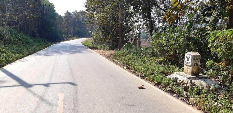 ไม่ใช่ vายที่ดินติดหลังแม่น้ำโขงกว้าง 330 เมตร ด้านหน้าติดถนนหลวง สาย4007  รูปที่ 3