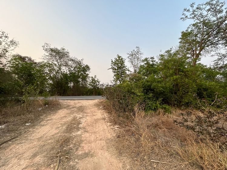 ใช่ ที่ดิน 10 ไร่ 1 งาน  รูปที่ 3