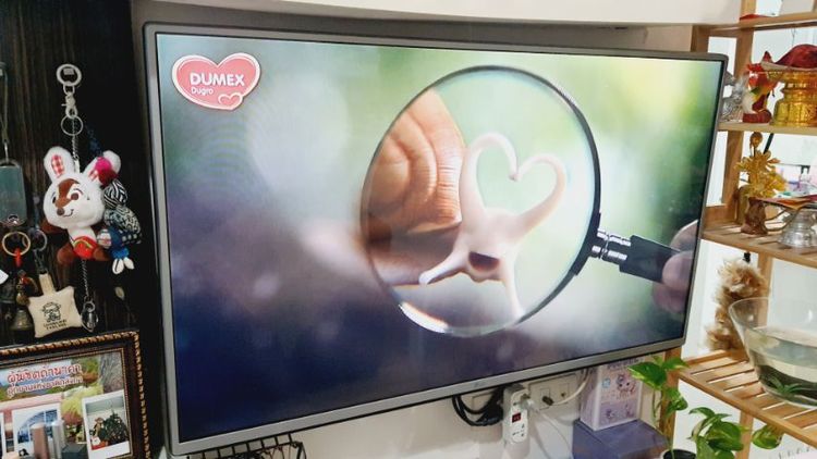 ทีวี LG 43 นิ้ว รูปที่ 4