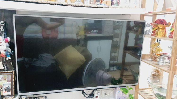 ทีวี LG 43 นิ้ว