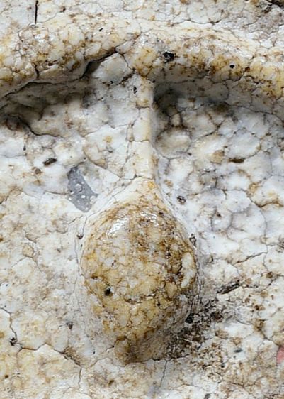 พระสมเด็จวัดระฆัง พิมพ์ใหญ่ เก่าสวย รูปที่ 2