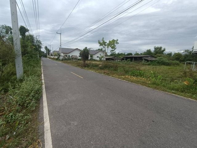 ขายที่ดินแปลงสวย ทำเลใหม่หน้ากองบิน 56,ใกล้ถนนตัดใหม่สายเลี่ยงเมืองหาดใหญ่–สนามบิน ติดซอยท่าหรั่ง 3 ถนนบ้านพรุ-กองบิน56 ต.ทุ่งลาน อ.คลองห รูปที่ 2