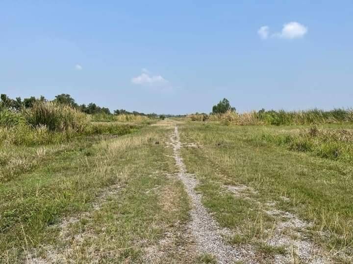 ที่ดิน อ องครักษ์ ใกล้ถนน 305.รังสิต นครนายก รูปที่ 2