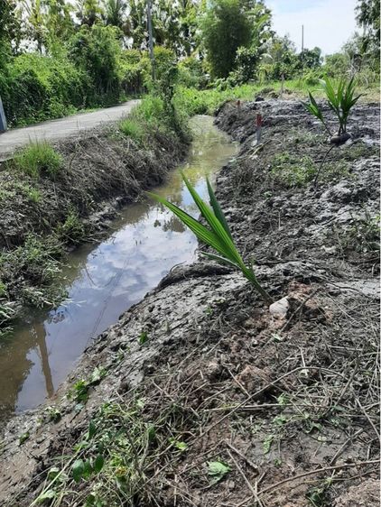 ที่ดิน อ หางดงติดถนน หน้า หลัง เชียงใหม่ รูปที่ 3