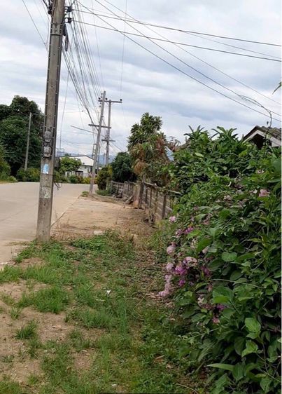 ที่ดิน อ ไชยปราการเขตเทศบาล เชียงใหม่ รูปที่ 3