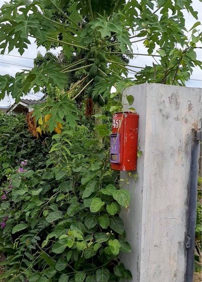 ที่ดิน อ ไชยปราการเขตเทศบาล เชียงใหม่ รูปที่ 2