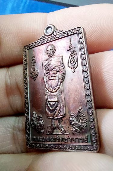 เหรียญยืนกฐินพระราชทาน หลวงพ่อรวย วัดตะโก ปี59 รูปที่ 8