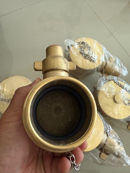 ข้อต่อดับเพลิงข้างหูเดียวเกลียวนอก ฝาปิดข้อต่อชนิดสวมเร็วตัวผู้พร้อมโซ่คล้อง รูปที่ 3