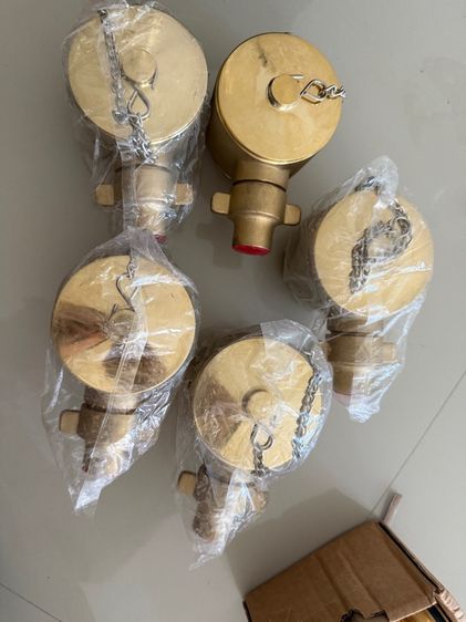 ข้อต่อดับเพลิงข้างหูเดียวเกลียวนอก ฝาปิดข้อต่อชนิดสวมเร็วตัวผู้พร้อมโซ่คล้อง