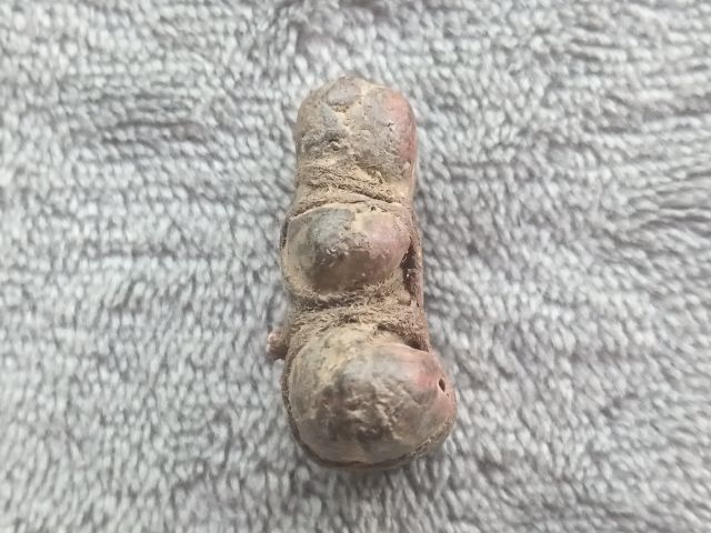 พระปิดตา รูปที่ 6