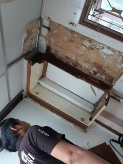 บริการกำจัดปลวก ราคาถูกไม่แพง รูปที่ 6