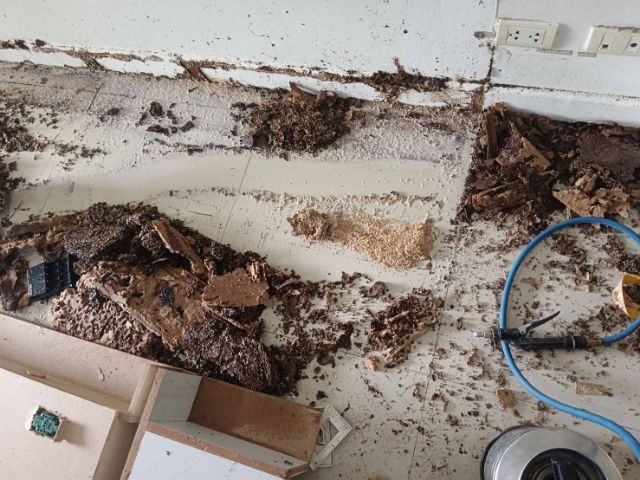 บริการกำจัดปลวก ราคาถูกไม่แพง รูปที่ 12