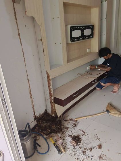 บริการกำจัดปลวก ราคาถูกไม่แพง รูปที่ 13