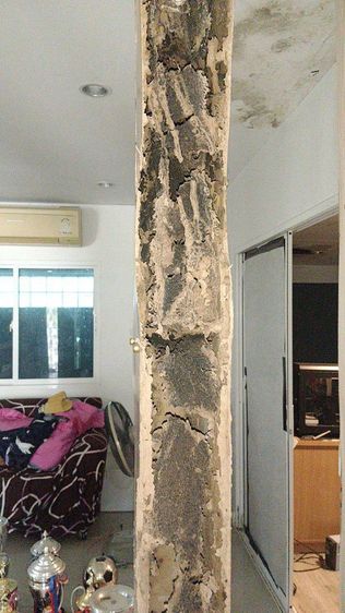 บริการกำจัดปลวก ราคาถูกไม่แพง รูปที่ 7