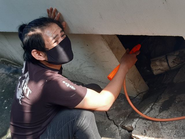 บริการกำจัดปลวก ราคาถูกไม่แพง รูปที่ 4