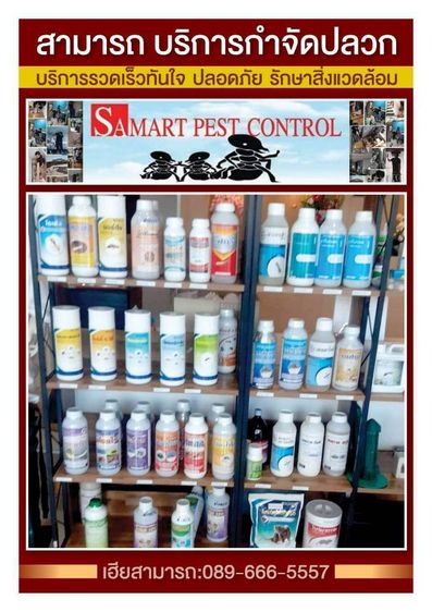 บริการกำจัดปลวก ราคาถูกไม่แพง รูปที่ 2