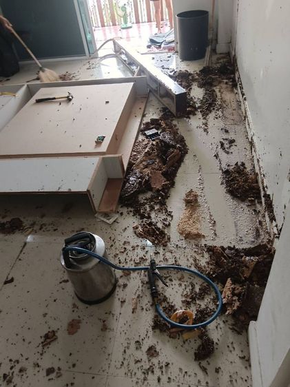 บริการกำจัดปลวก ราคาถูกไม่แพง รูปที่ 16