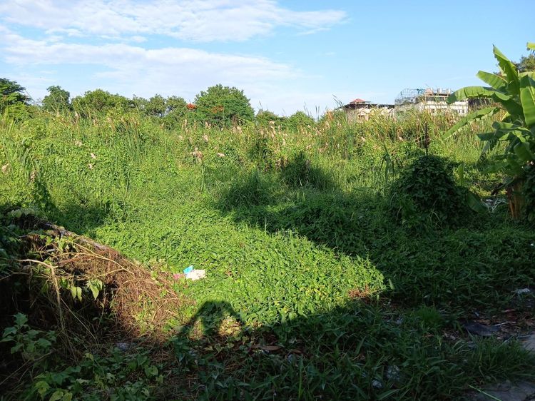 ไม่ใช่ ขายที่ดิน 2 ไร่ 3 งาน 71 ตารางวา หนองแขม มีโฉนด เหมาะลงทุนหรือปลูกบ้าน รูปที่ 4