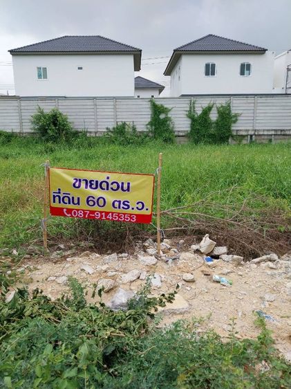 ขายที่ดินเปล่าบางบัวทอง