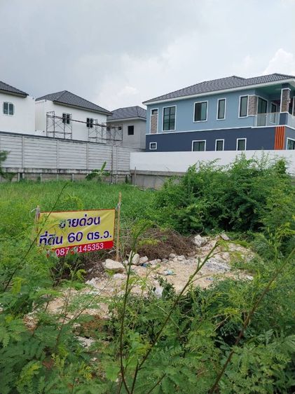 ขายที่ดินเปล่าบางบัวทอง รูปที่ 2