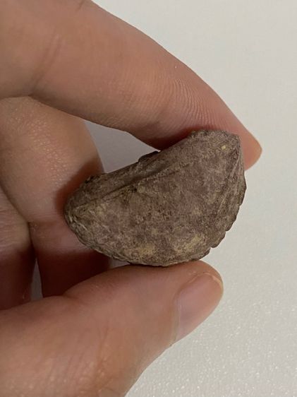 พระปิดตาหลวงปู่หมุน รูปที่ 7