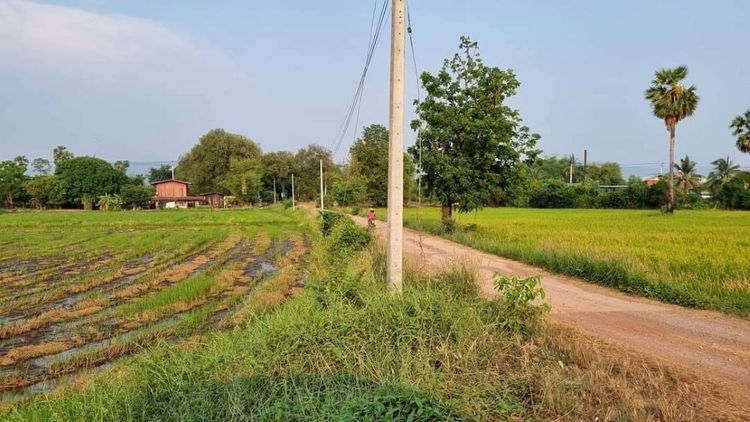 ขายที่ดินเปล่า ทำเลดี เดินทางสะดวก น้ำไฟเข้าถึง ต.วังทอง อ.วังทอง จ.พิษณุโลก รูปที่ 3