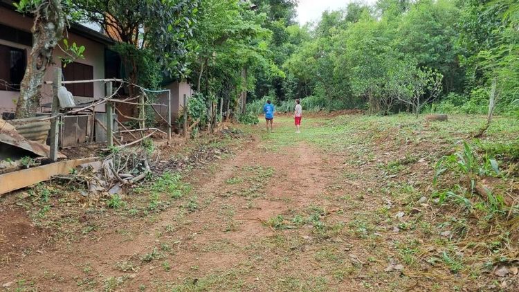 ขายที่ดินเปล่า ทำเลดี เดินทางสะดวก มีไฟเข้าถึง ต.ปากช่อง อ.ปากช่อง จ.นครราชสีมา รูปที่ 2